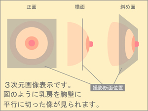 3次元イラスト